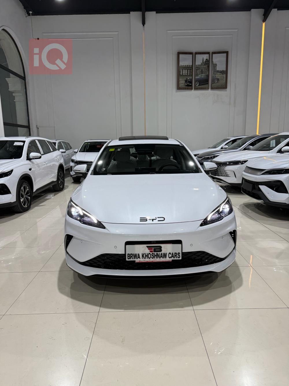 بی وای دی سيل 05 DM-i